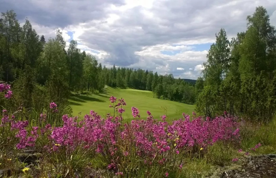 Lakeside Golf Vammala