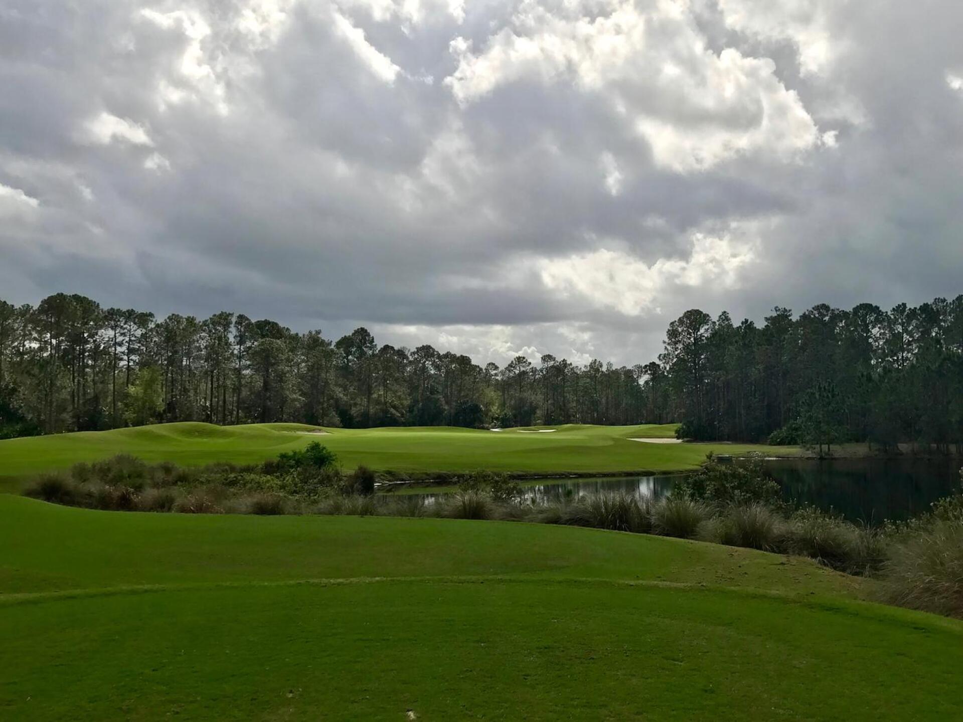 The 5th hole at LPGA International's Hills Course. (Tim Gavrich/Golf Advisor) (Photo submitted by TimGavrichGP on 03/28/2018)