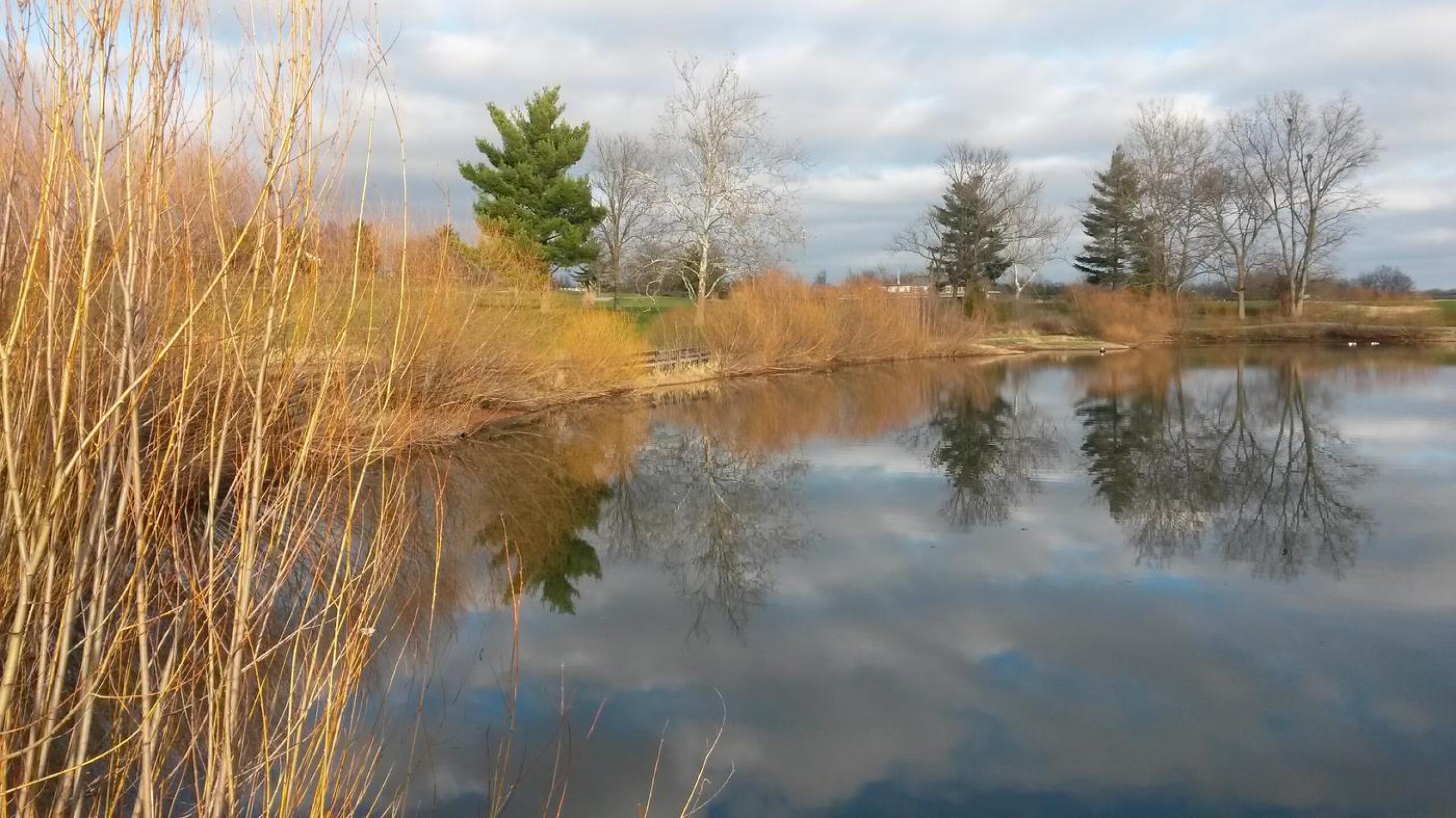 The Lake off the 18th Tee (Photo submitted by Russell6471525 on 12/17/2015)