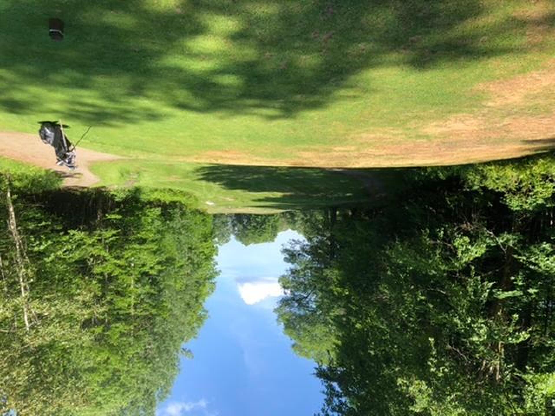 (Photo submitted by AzDio408 on 08/25/2020)