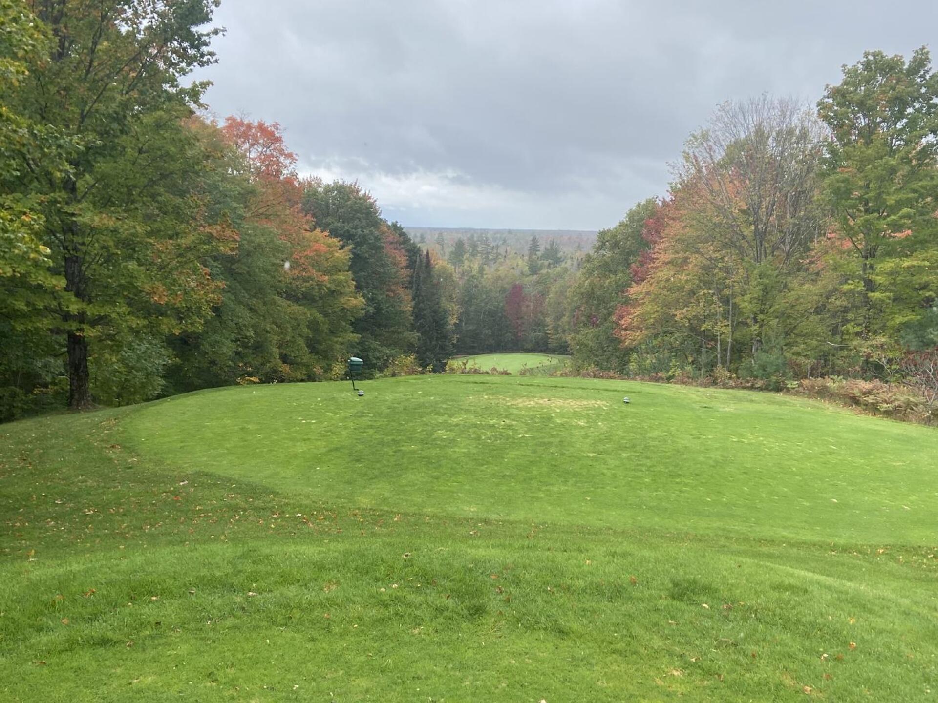 (Photo submitted by u183373765 on 10/09/2023)