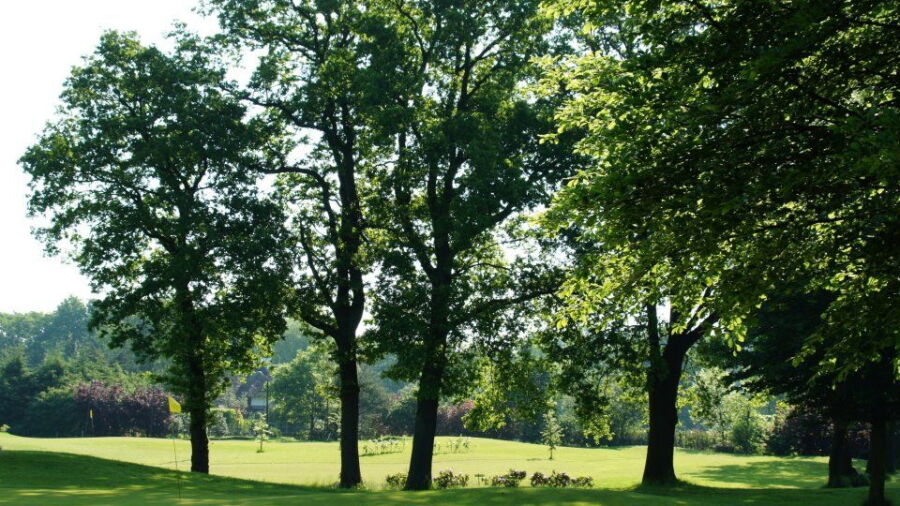 Haaksbergse Het Langeloo GC