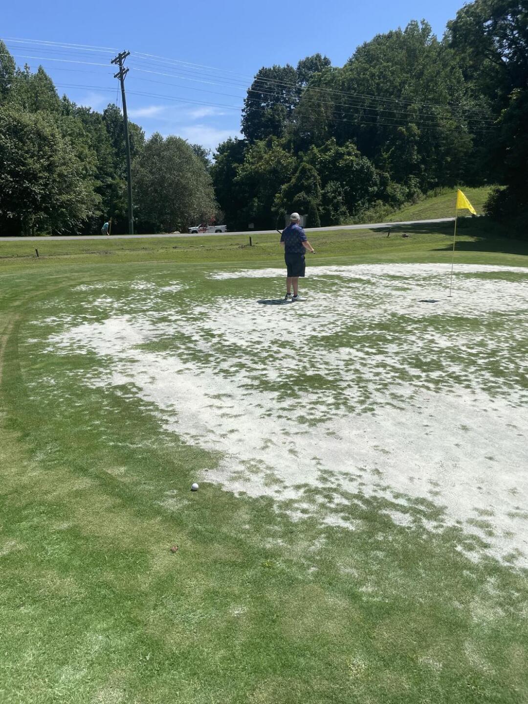 (Photo submitted by u314164343895 on 08/07/2023)