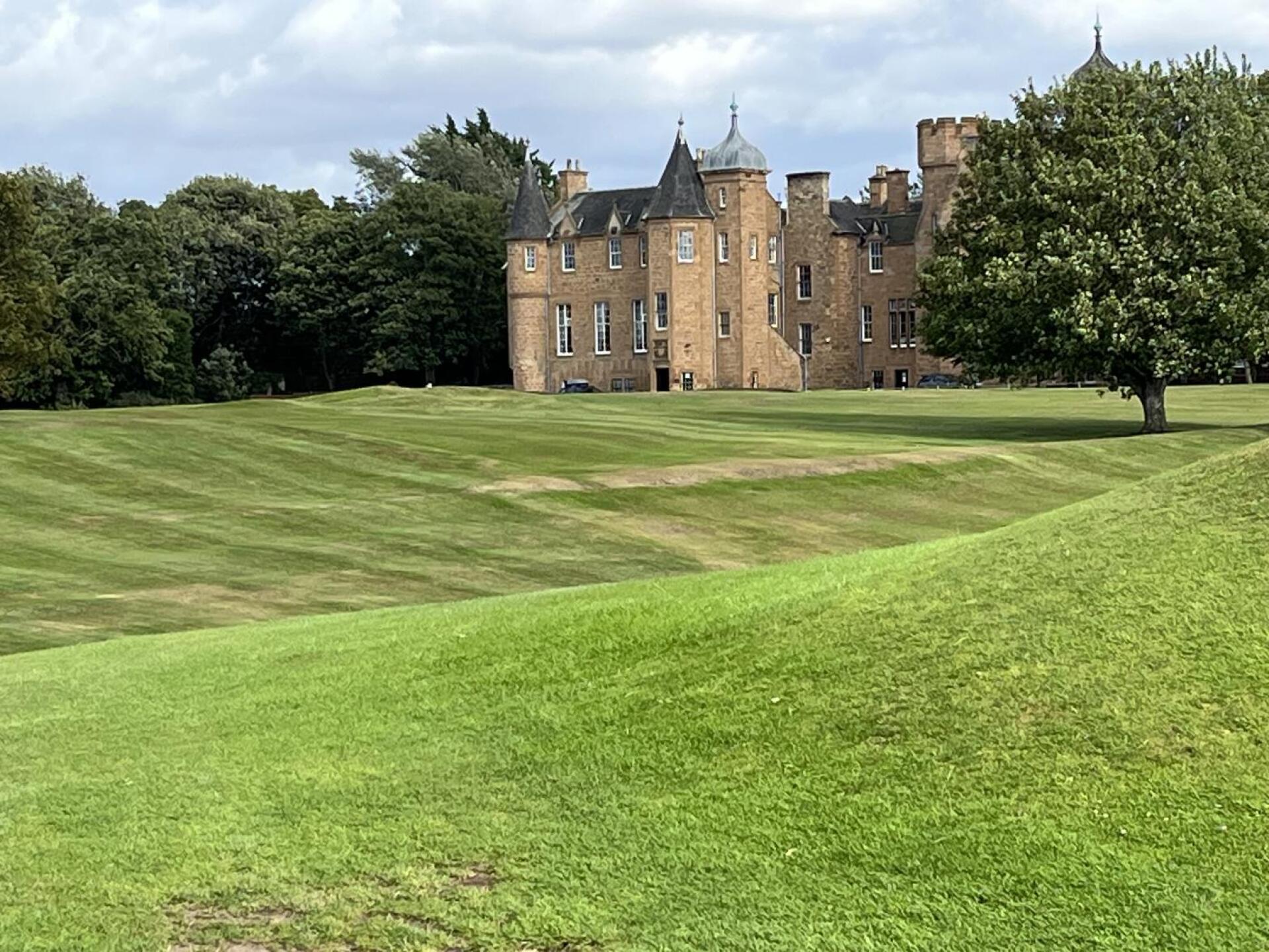 (Photo submitted by t1354378826 on 08/07/2025)