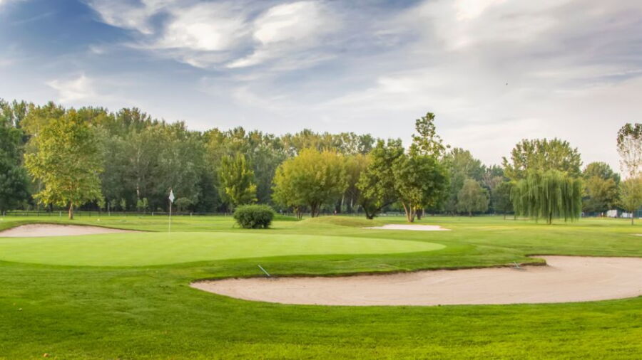 Goreway GC