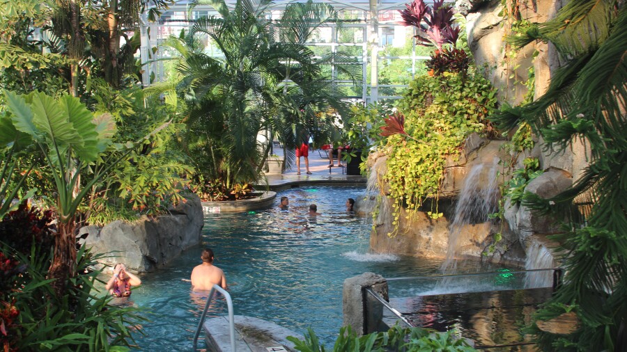 Grand Cascades Lodge at Crystal Springs - pool