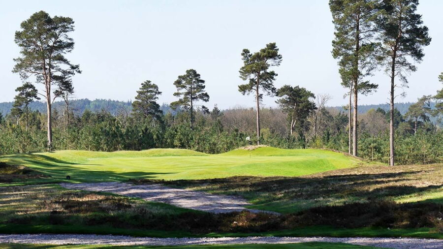 Swinley Forest GC: #8