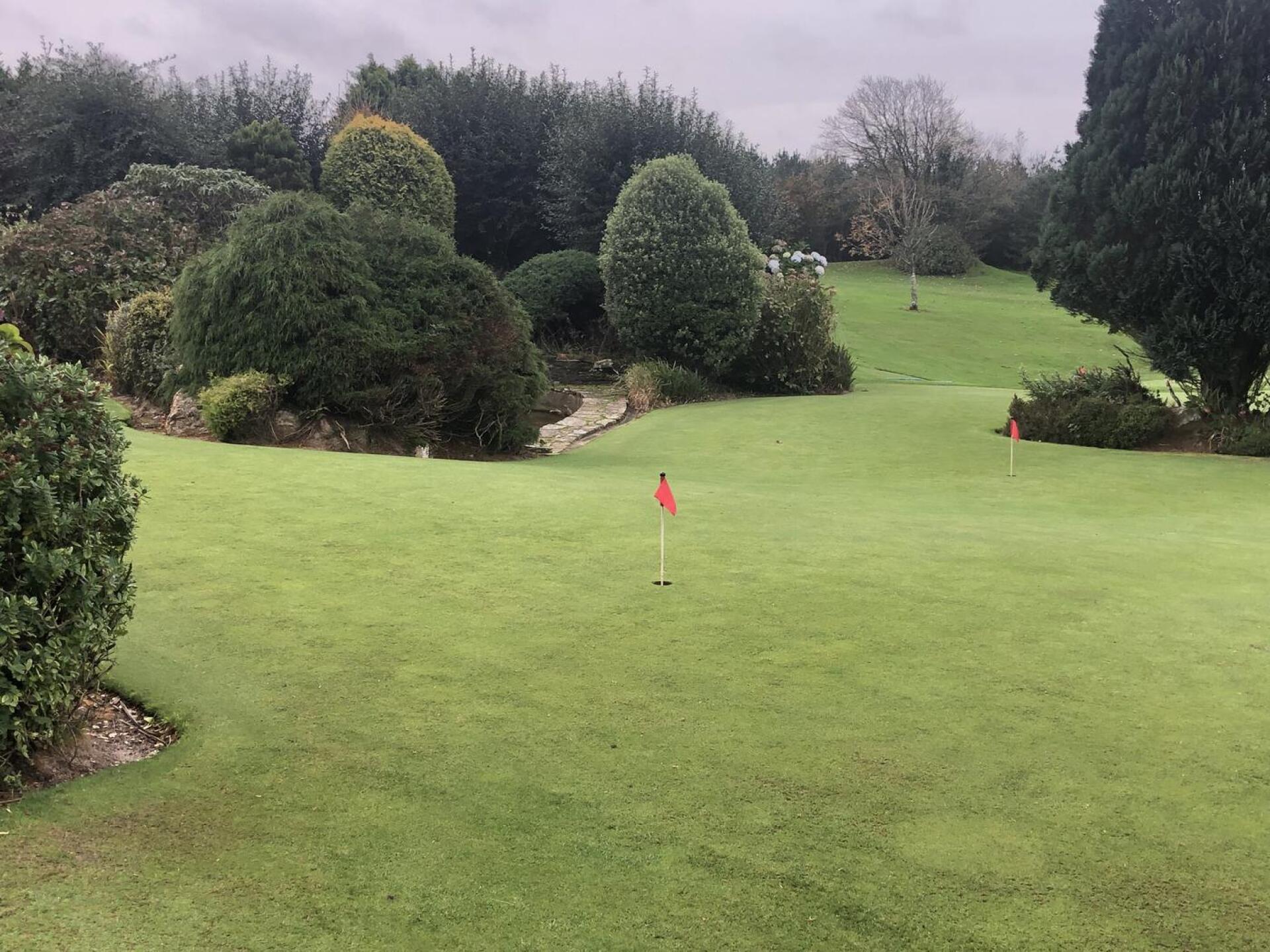 (Photo submitted by Saints01 on 11/04/2022)