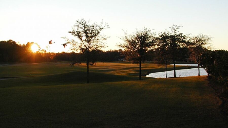 Tampa Bay GCC