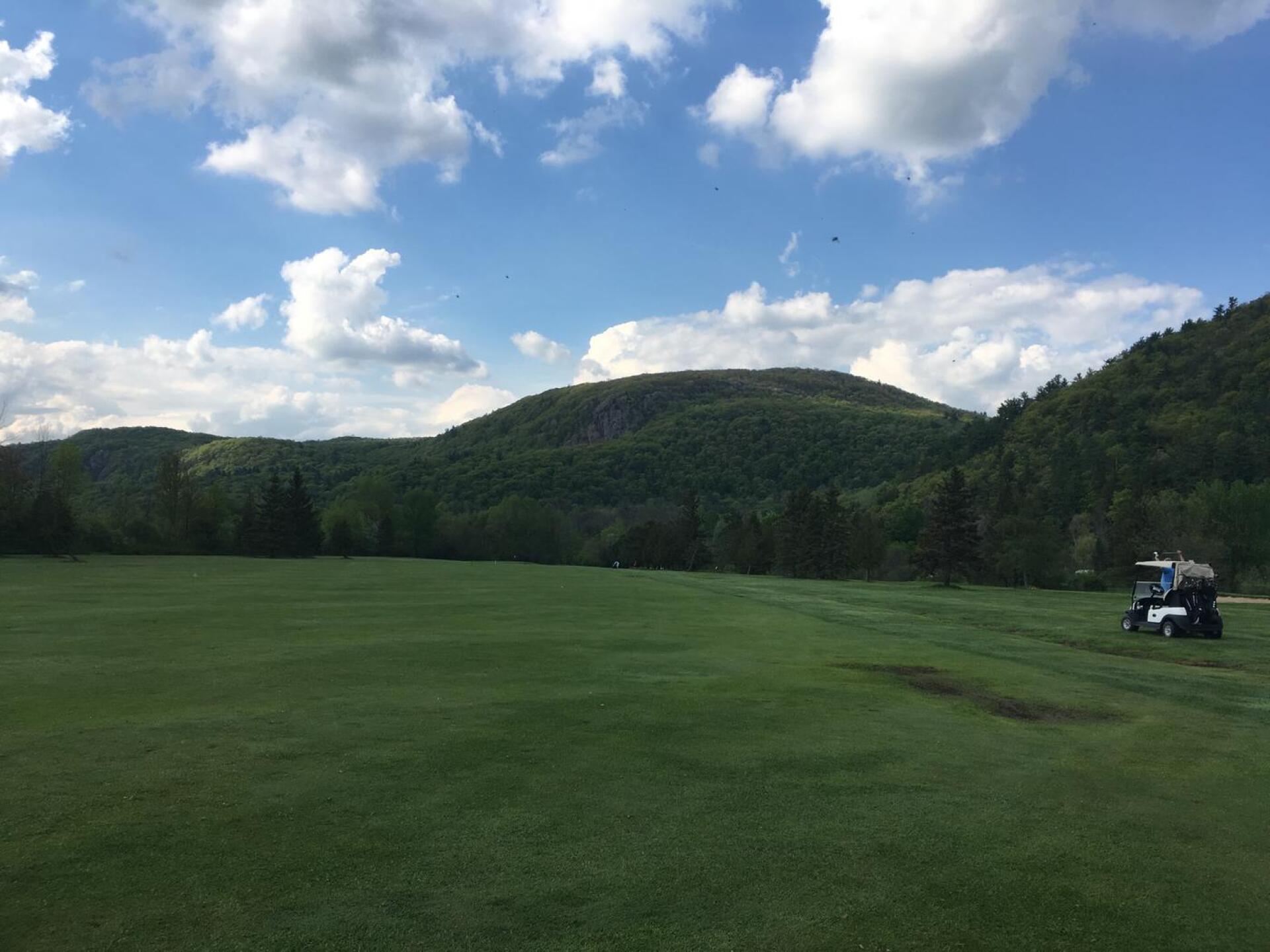 (Photo submitted by hddanesh23 on 05/25/2017)