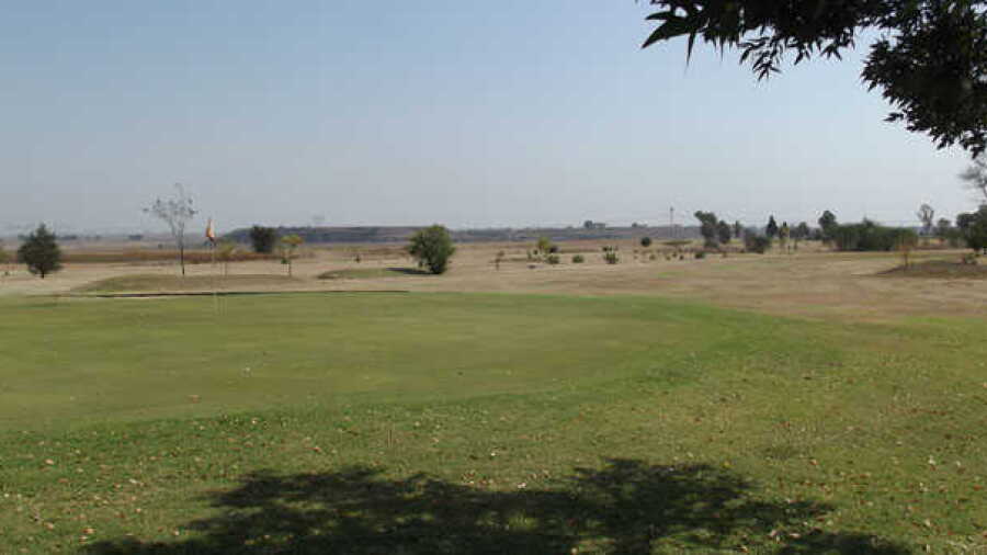 Holly CC