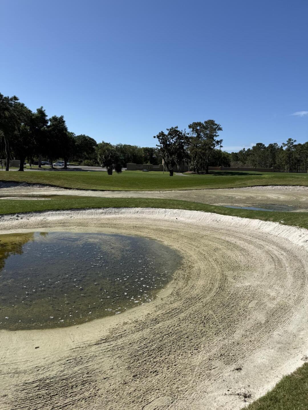 (Photo submitted by shavegolf on 04/04/2026)