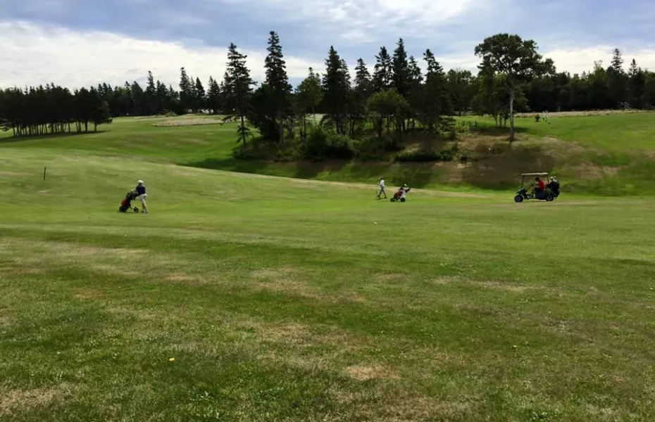 Belfast Highland Greens