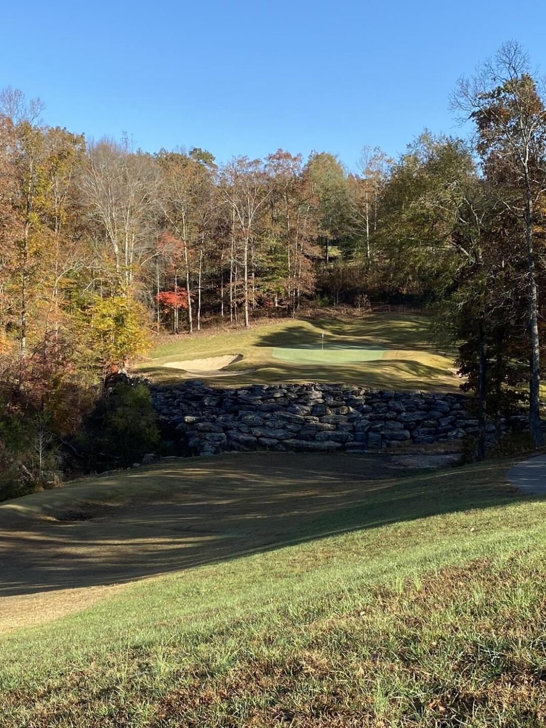 (Photo submitted by Qe1Fe4tX45J92ZcyPLrl on 11/08/2020)