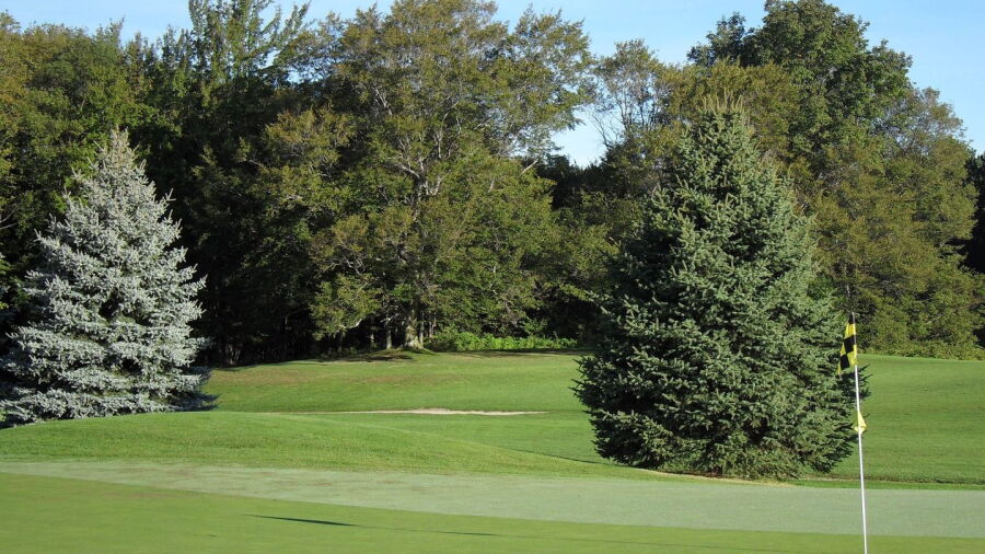 Emerald Vale GC: #5