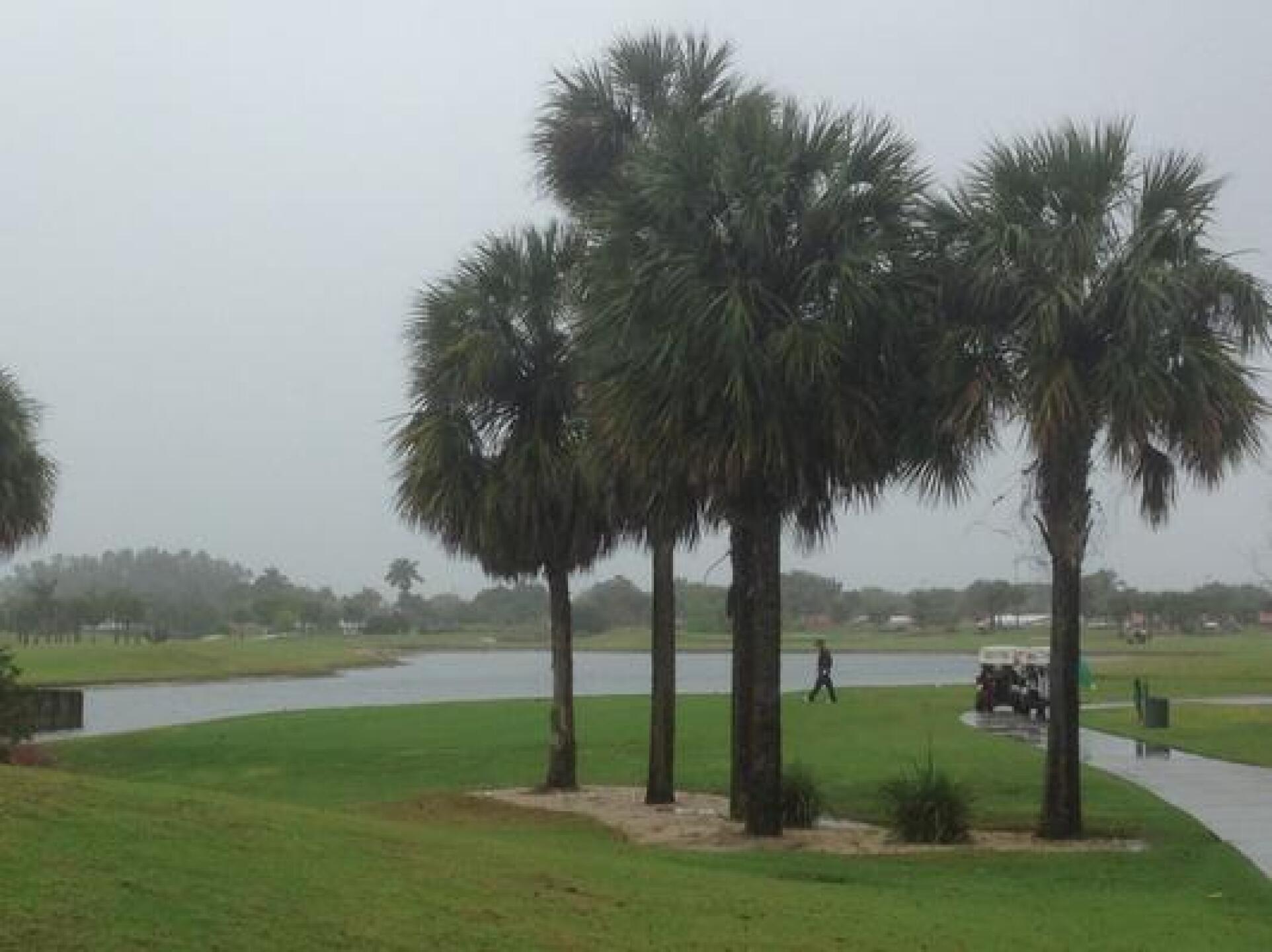 It rained.. (Photo submitted by pandawebb on 03/18/2015)