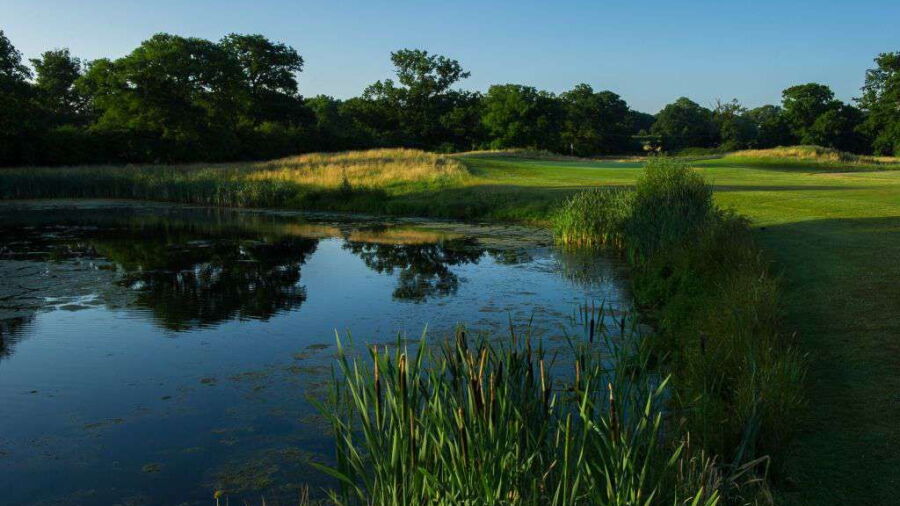 Waterloo at Sherfield Oaks: #11