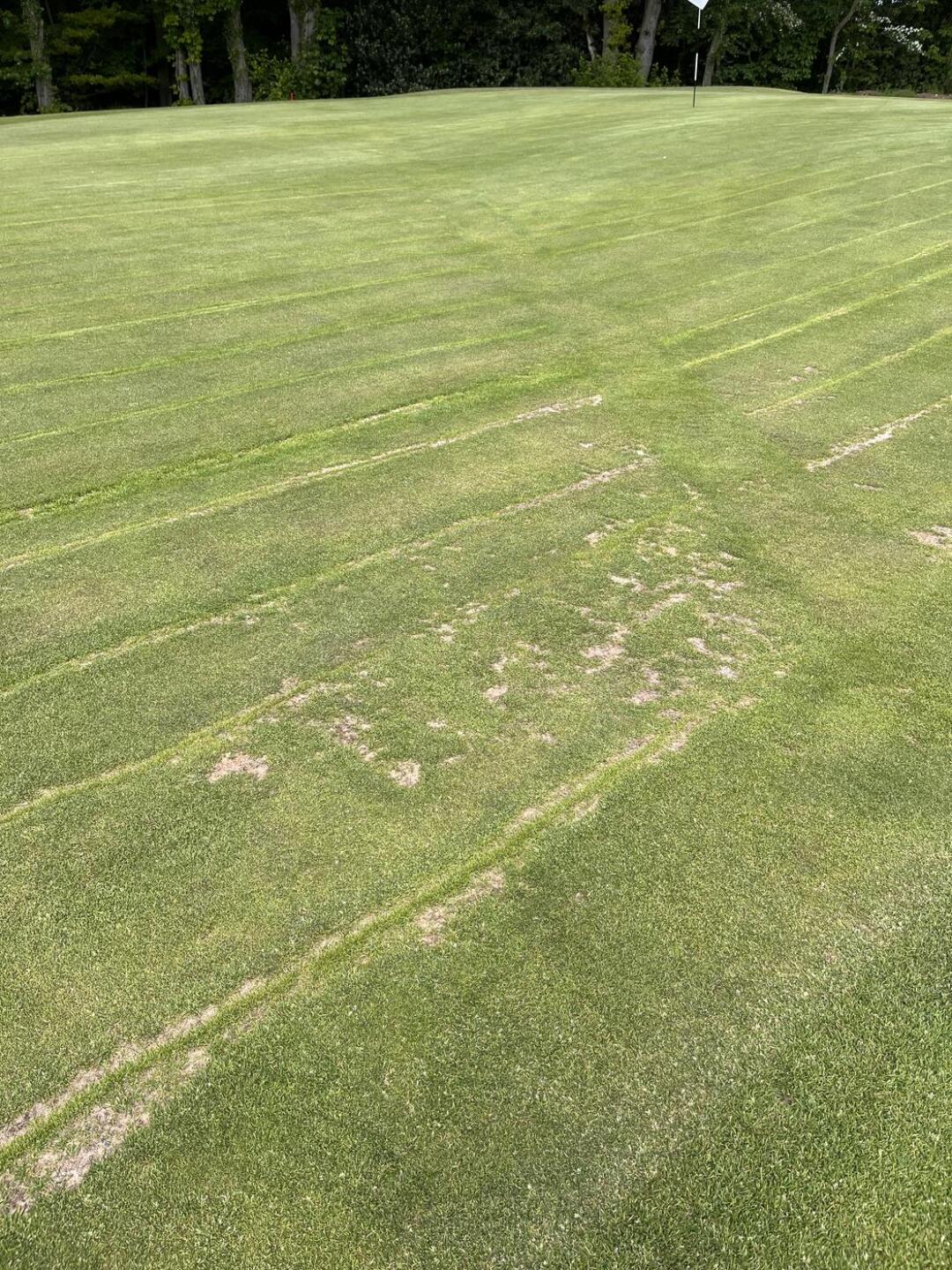 (Photo submitted by TranmereSuperWhite on 06/01/2023)