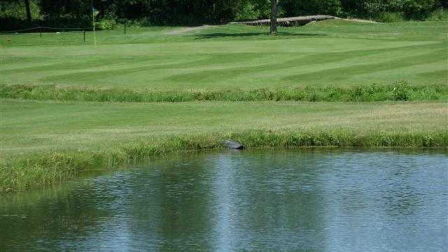Meadowbrook GC