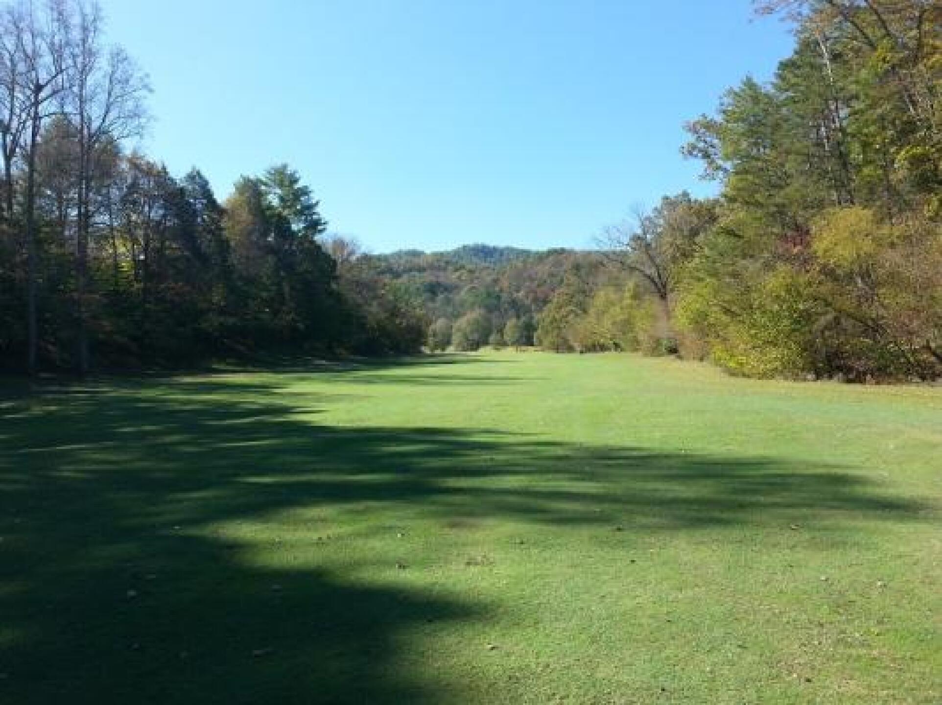 (Photo submitted by alwznewfs on 11/01/2014)