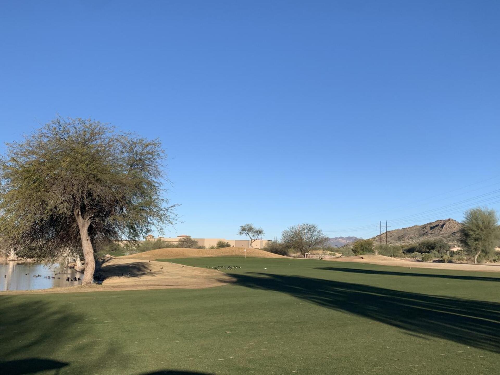 (Photo submitted by Johaustin on 02/09/2022)