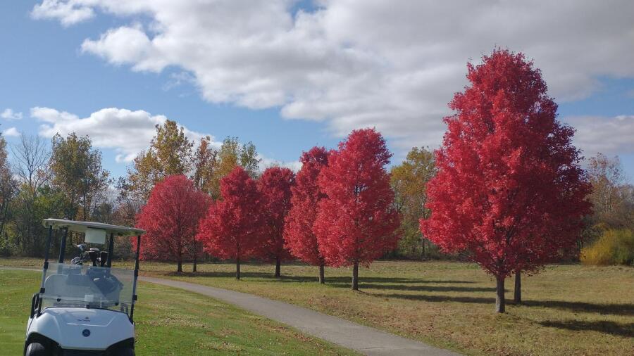 Trophy Club - fall colors