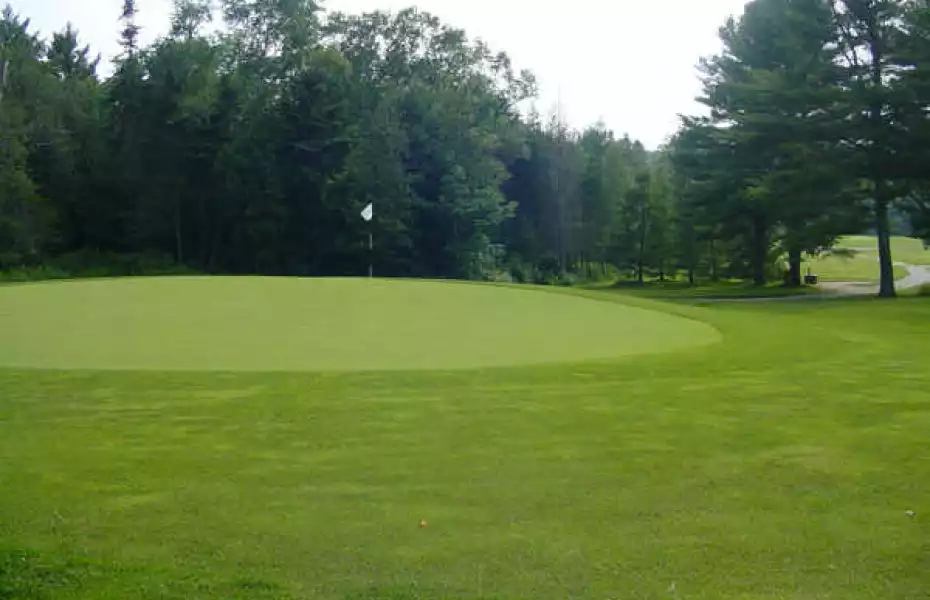Searsport Pines GC