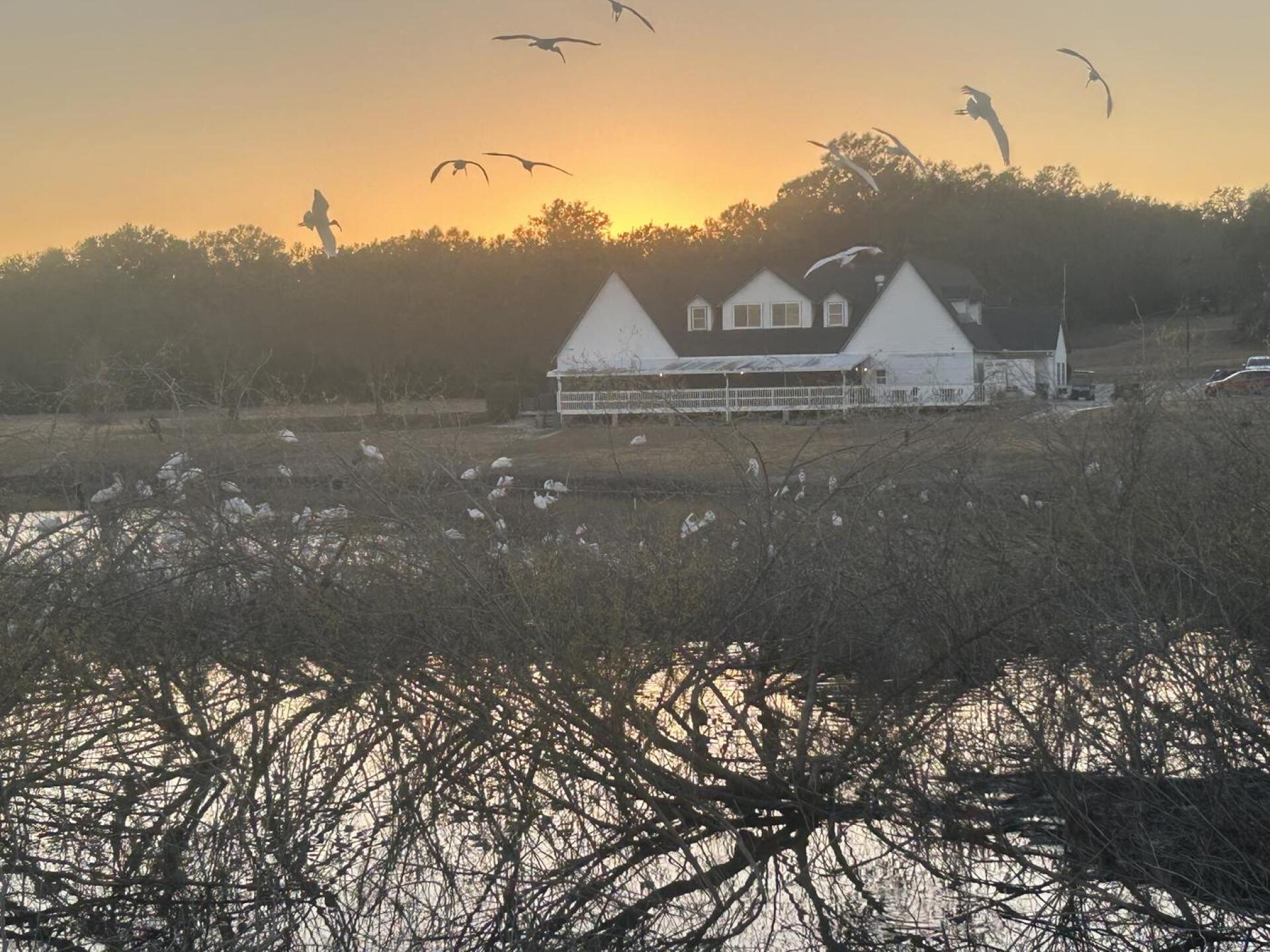 (Photo submitted by 54VMwoi0WhbN91PxCkY0 on 02/10/2026)