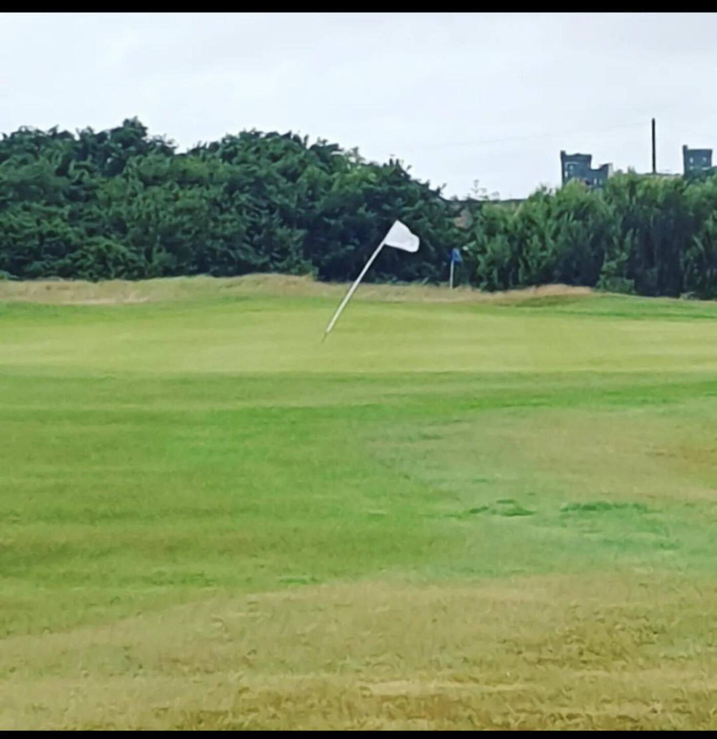 (Photo submitted by u314162819271 on 07/02/2023)