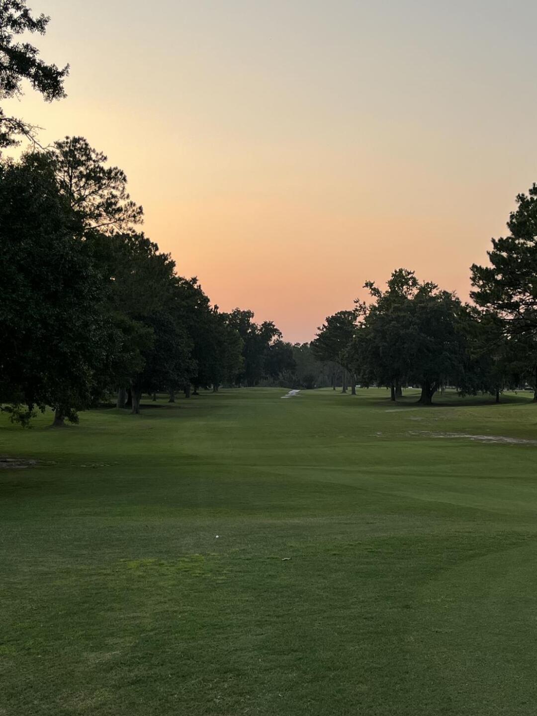 (Photo submitted by AdamB79 on 07/19/2024)