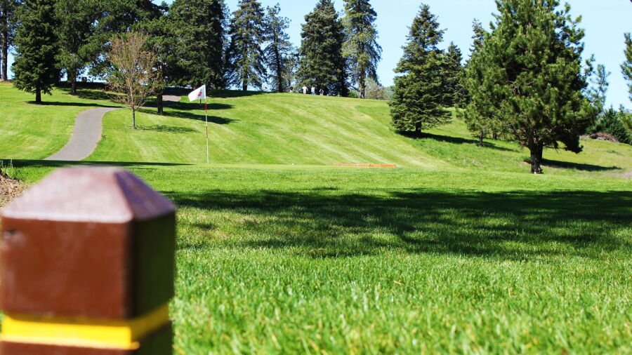 Stewart Park GC