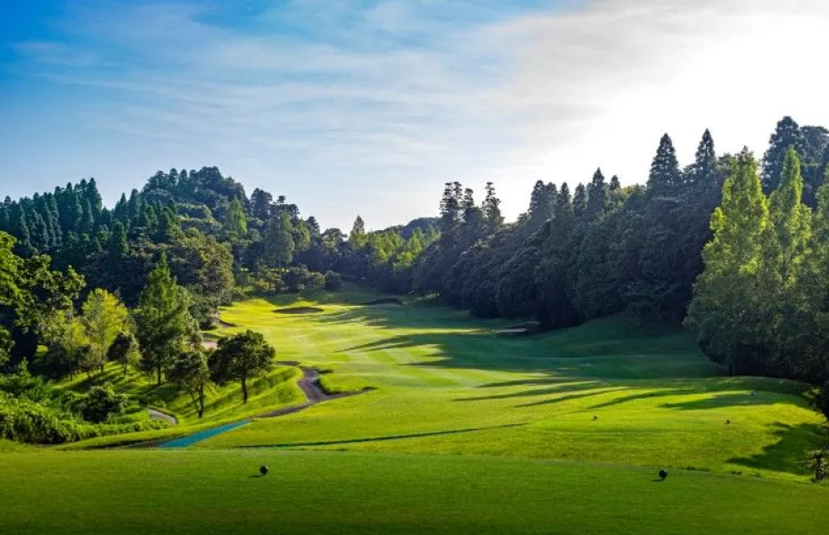 Manna CC - Gary Player: #17