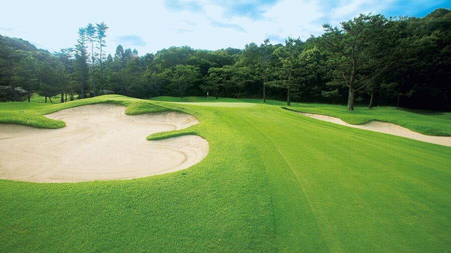 Ono GC: #1