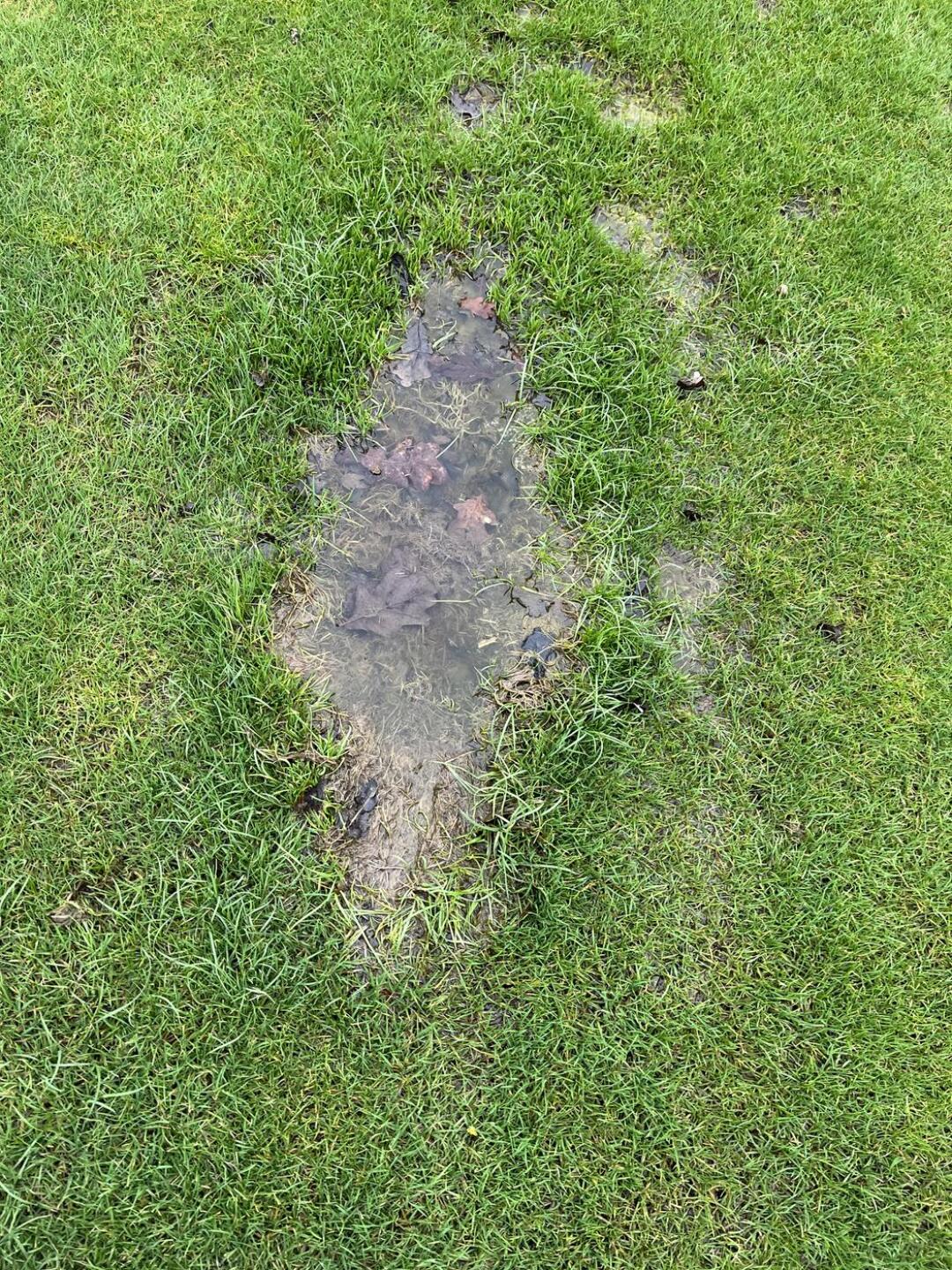 (Photo submitted by u4930177 on 02/26/2022)