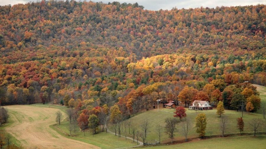 Cumberland CC