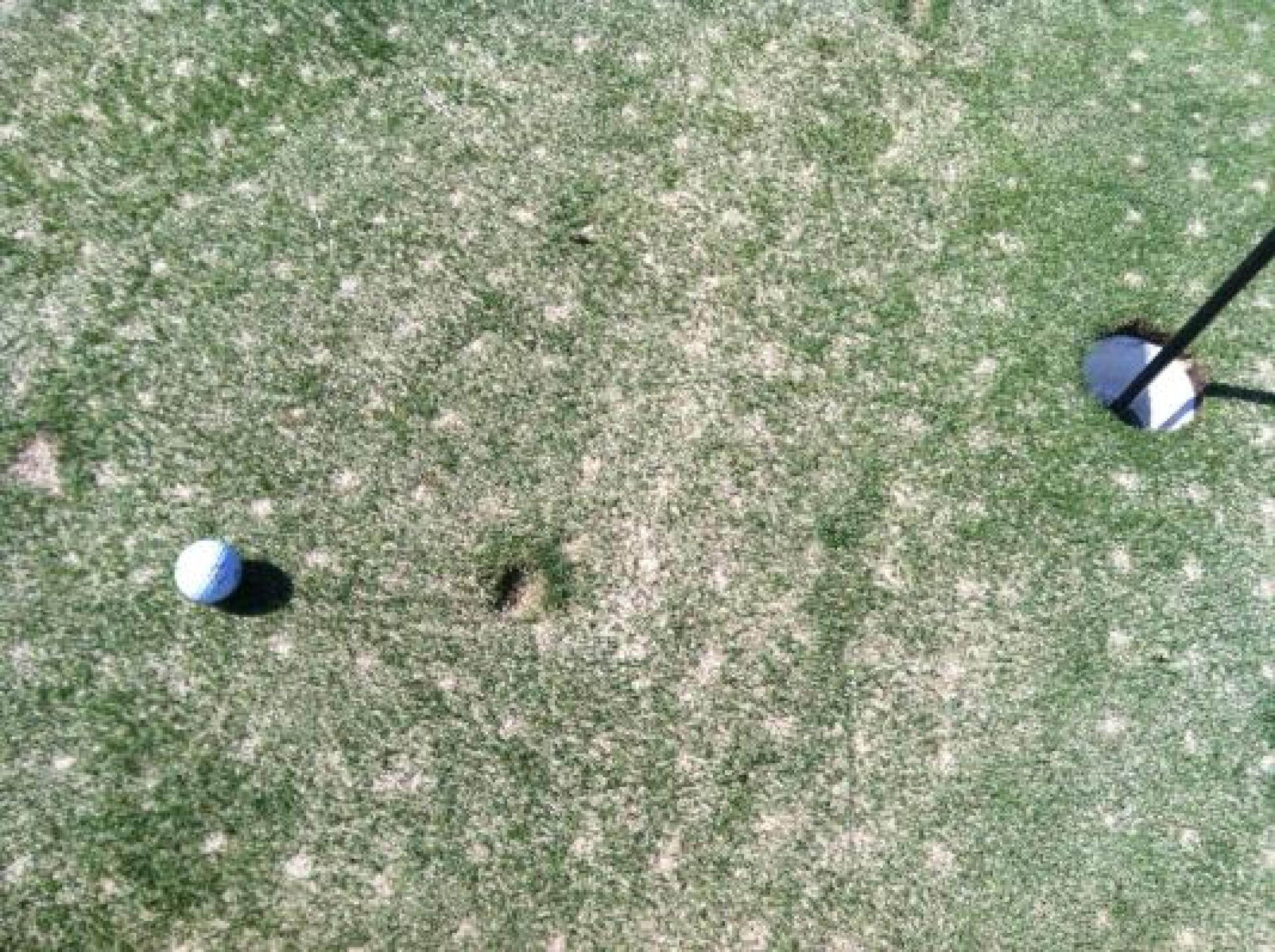 Best shot of the day on the 4th hole (Photo submitted by Brett4224030 on 10/04/2012)