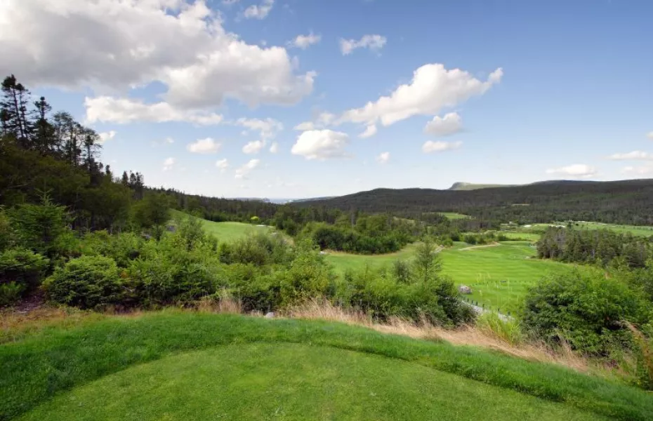 The Willows at Holyrood