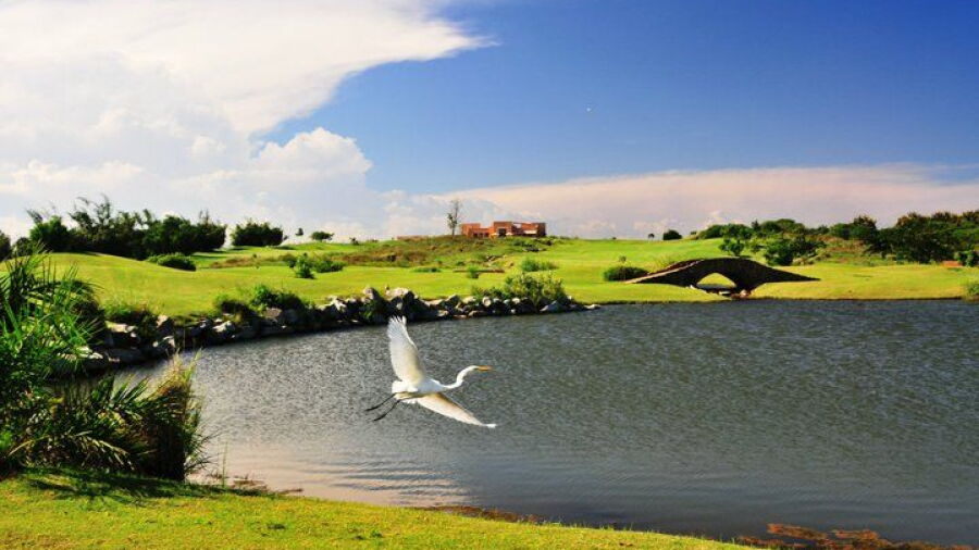 Vipingo Ridge - Baobab
