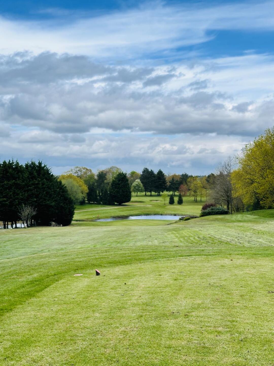 (Photo submitted by danferrier on 04/26/2024)