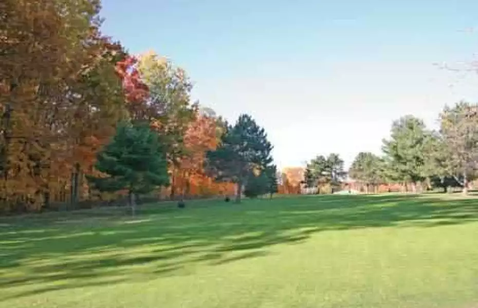 Lakeview Golf & Pizza: #3