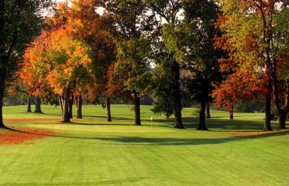 Hills at Tam O'Shanter Public GC: #5