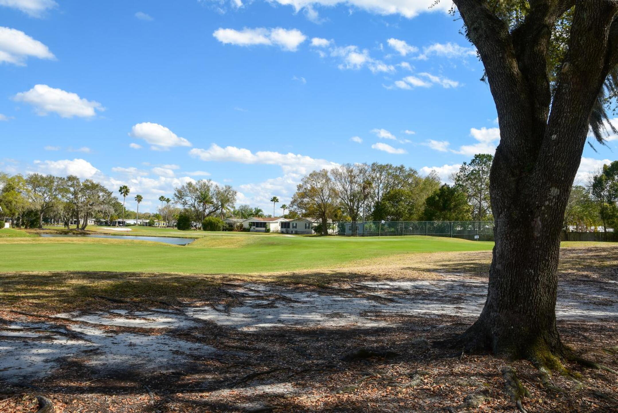 t the second hole in its sandy, right rough: A view of the small, elevated green. (Photo submitted by AptlyLinked on 03/04/2026)