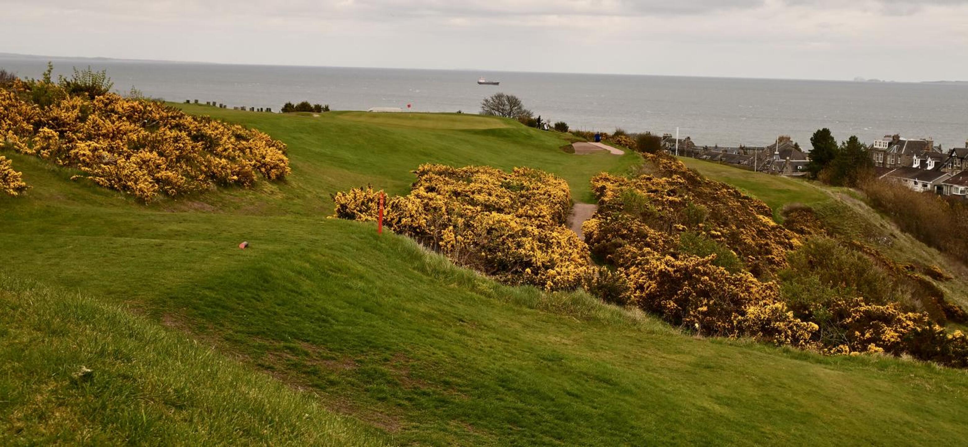 (Photo submitted by secretbob on 04/12/2026)