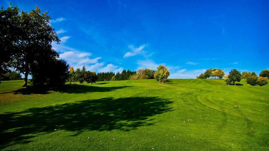 Holledau GC