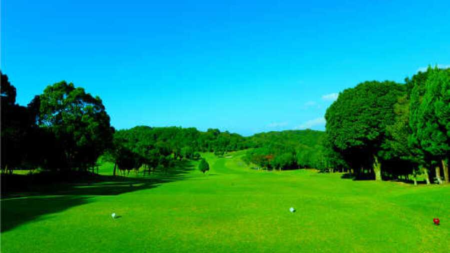 Hojo CC: #17