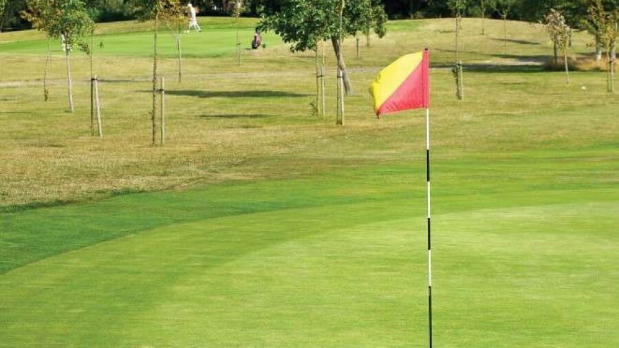 Rustington GC