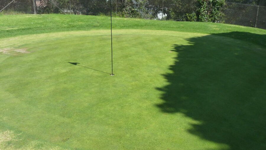 Sea Aire Park GC: #6