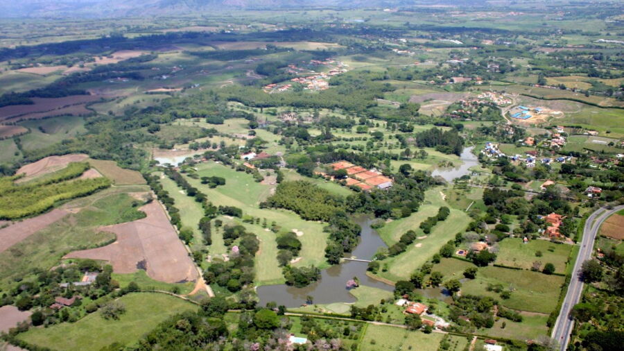 Pereira CC