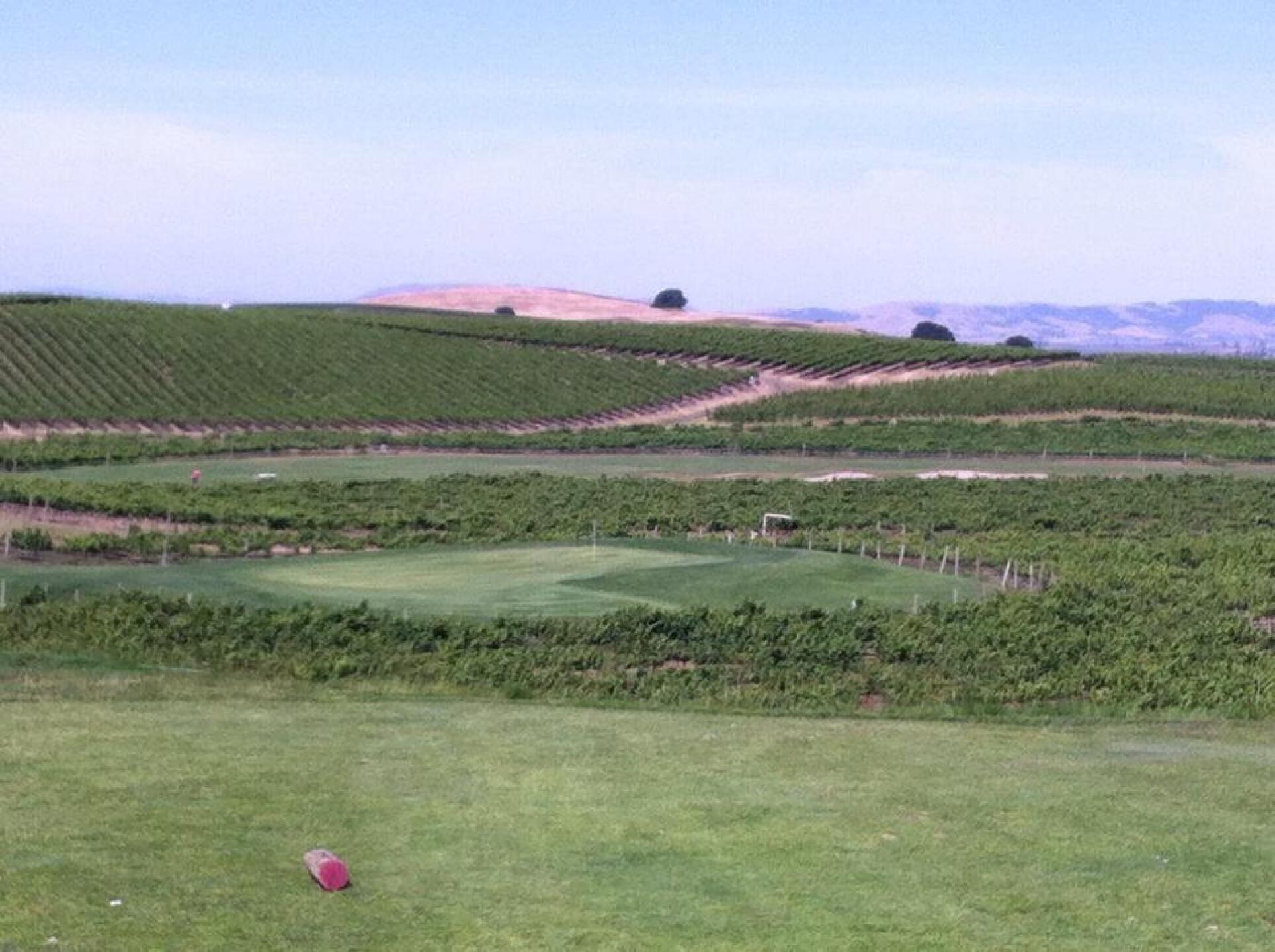 (Photo submitted by cmerce1986 on 06/04/2015)