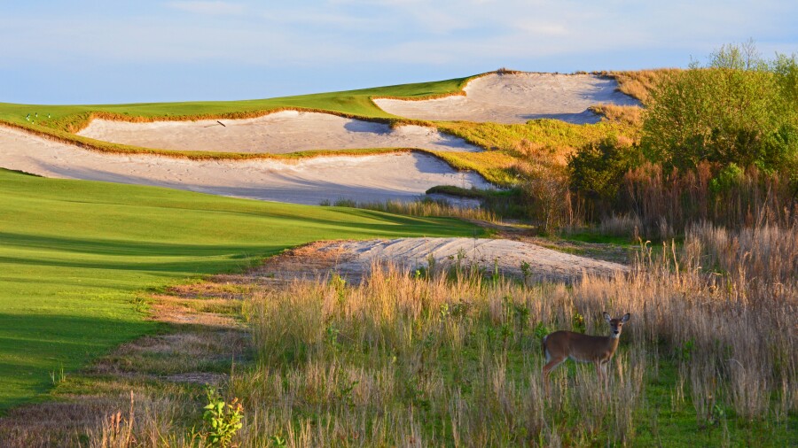 Streamsong Resort - Blue golf course